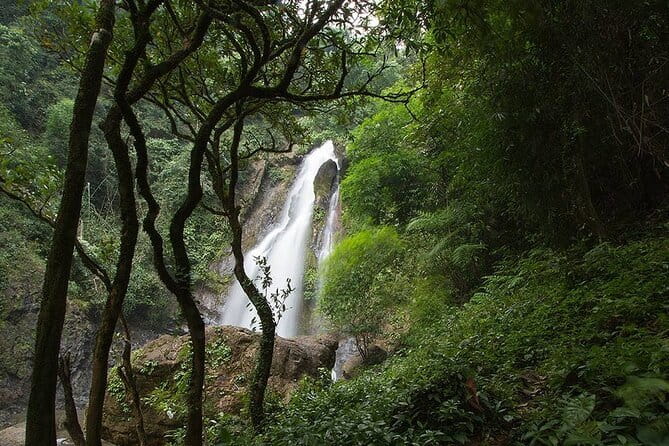 3 Day Phuket to Khao Sok National Park Tour Package - Should You Book This 3-Day Khao Sok and Cheow Lan Tour?