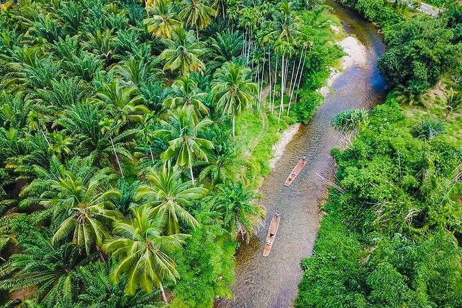 Bamboo Rafting and Sea Turtle Conservation Center Half Day Tour From Khao Lak - Bamboo rafting in a small group: training first, then serene river time
