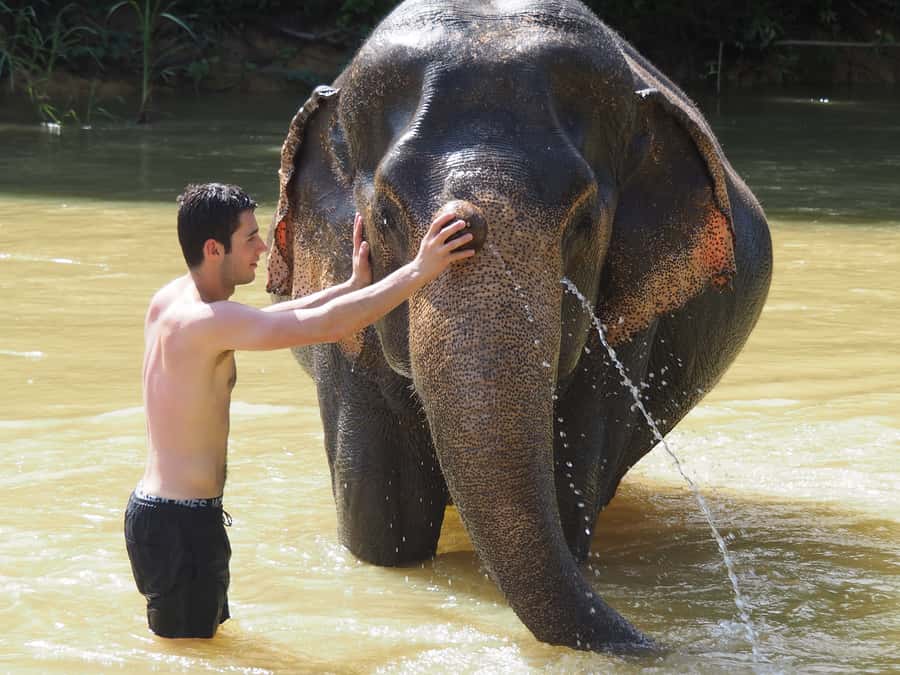 Bamboo Rafting, Waterfall, lunch, Elephant, and Turtle Tour - Ethical elephant camp: bathing and feeding without elephant riding