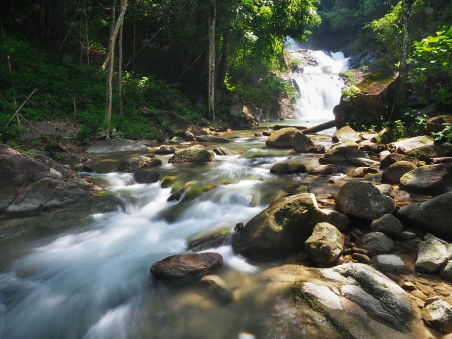 Bamboo Rafting, Waterfall, lunch, Elephant, and Turtle Tour - Lampi Waterfall in the national park: swim time and a reset for the senses