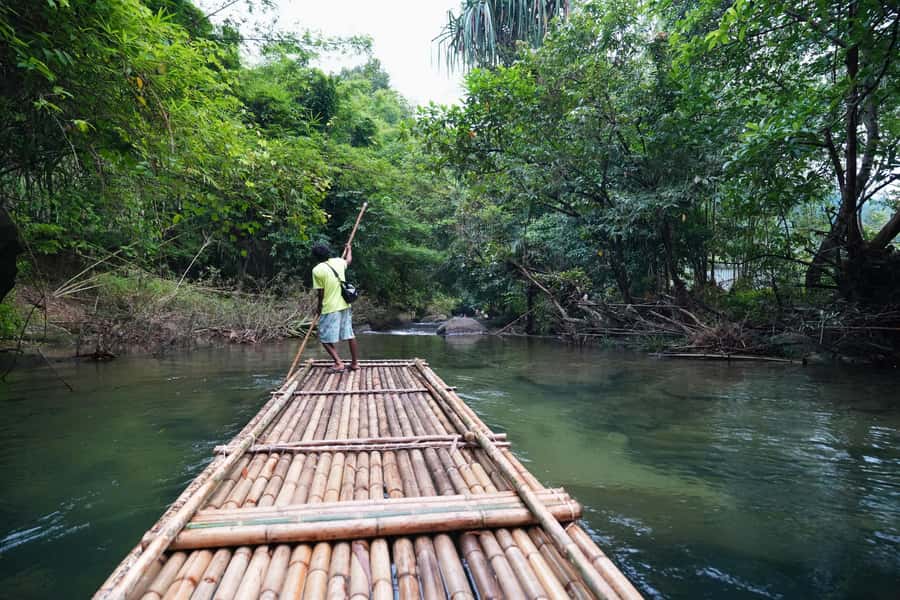 Bamboo Rafting, Waterfall, lunch, Elephant, and Turtle Tour - Price and logistics: is $96 good value?