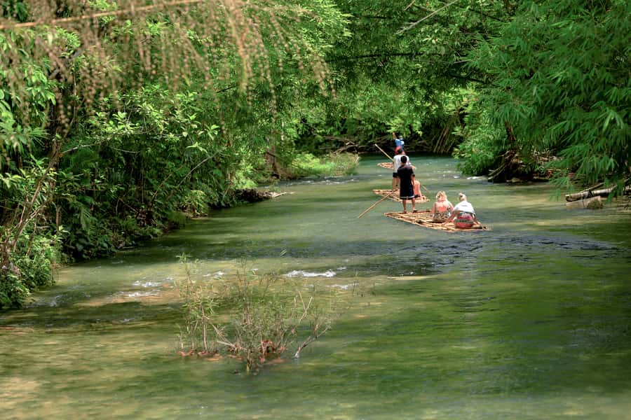 Bamboo Rafting, Waterfall, lunch, Elephant, and Turtle Tour - What the day feels like on the ground