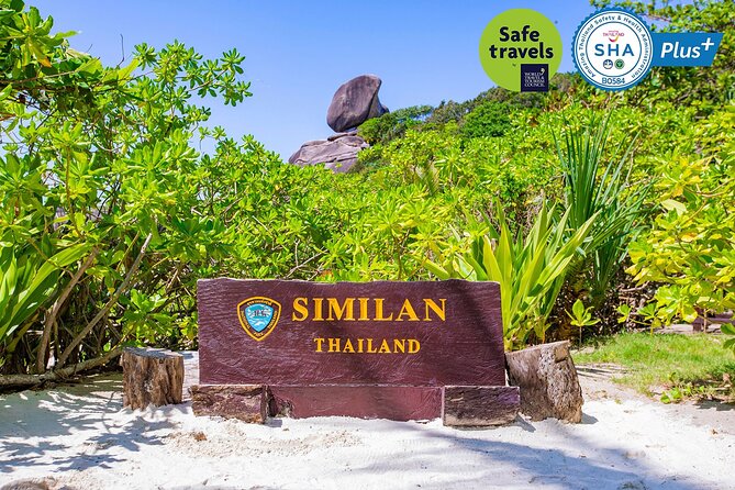 Best Seller - Similan Islands Snorkeling Trip From Khao Lak - Wildlife and sea conditions: turtles, dolphins, and jellyfish risk