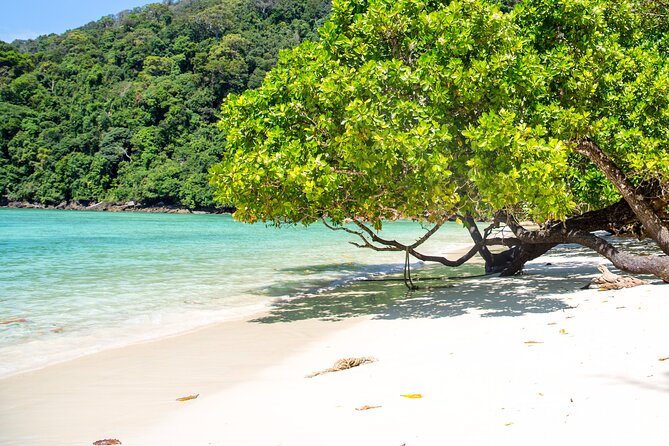 Best Seller - Surin Islands Snorkeling Trip from Khao Lak - Moken community visit (about 1 hour)