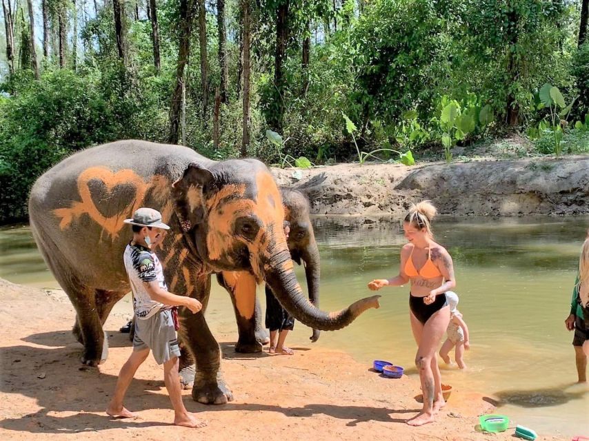 Ethical Elephant Sanctuary Experience in Khao Lak - Ya Dom Herbal Inhaler Making: A Thai Wellness Souvenir You’ll Actually Use