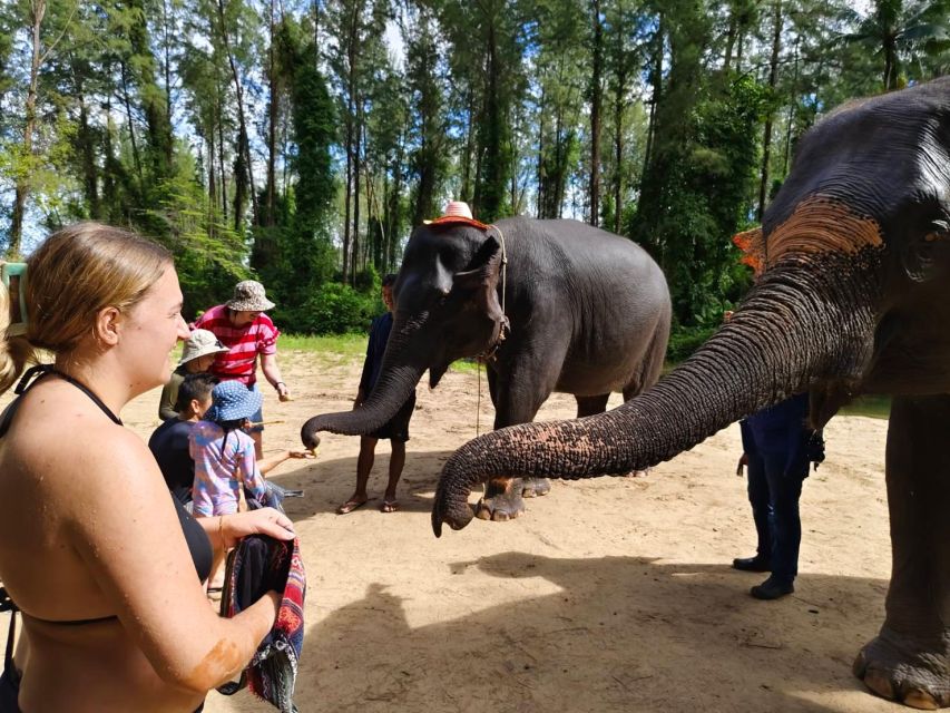Ethical Elephant Sanctuary Experience in Khao Lak - Meeting the Elephants as Individuals, Through Mahout Eyes