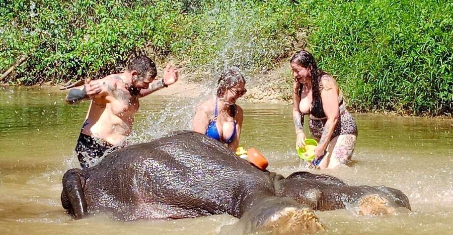 Ethical Elephant Sanctuary Experience in Khao Lak - Creek and Mud Bath Watching: Elephant-Led, Not You-Driven