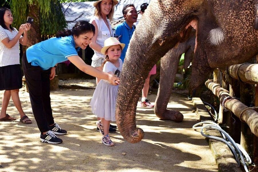 Ethical Elephant Sanctuary Experience in Khao Lak - Khanom Krok Cooking Time: Thailand Street-Food Culture, Done Gently