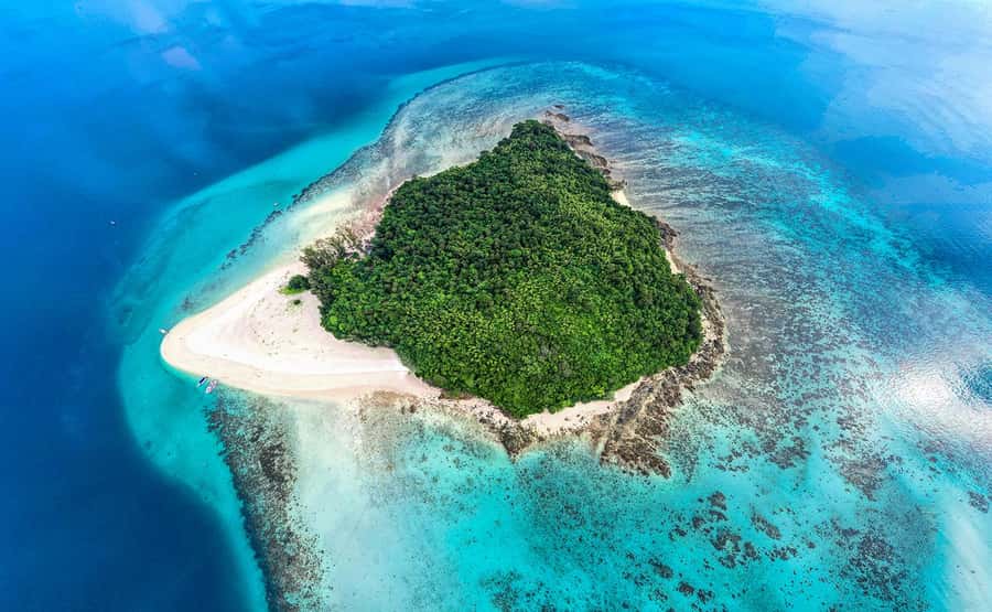From Khao Lak: Bamboo & Phi Phi Islands, & Maya Bay Day Trip - Phi Phi Don and Ton Sai lunch: enjoy the break, manage the crowds