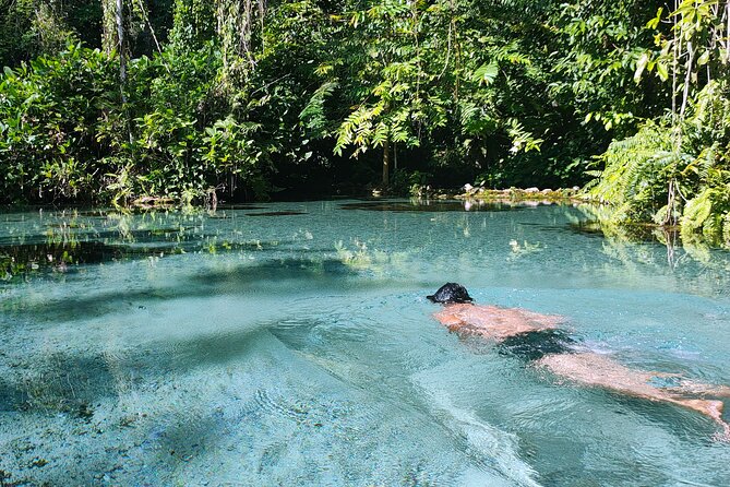 From Khao Lak : Cheow Lan Lake & Nam Rad Emerald Pool - How the small-group setup (max 8) changes your day
