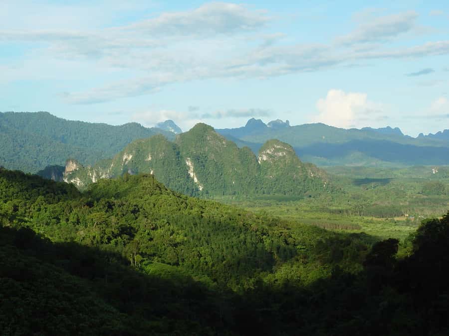 From Khao Lak: Day Trip to Khao Sok with Elephant Camp Visit - Key Things to Know Before You Go