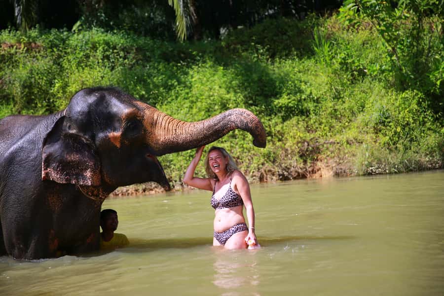 From Khao Lak: Day Trip to Khao Sok with Elephant Camp Visit - Thai buffet lunch at a treehouse resort: more than just a meal break