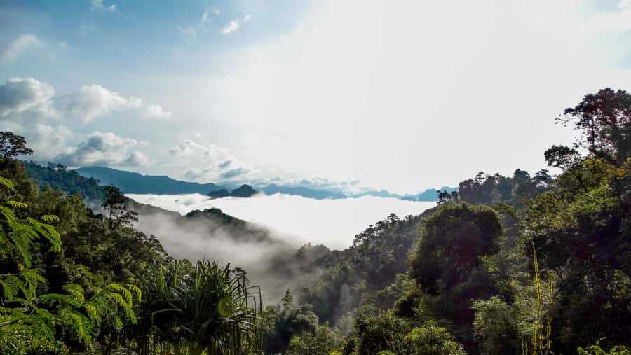 From Khao Lak: Day Trip to Khao Sok with Elephant Camp Visit - Price and value: is $99 per person fair for this mix?