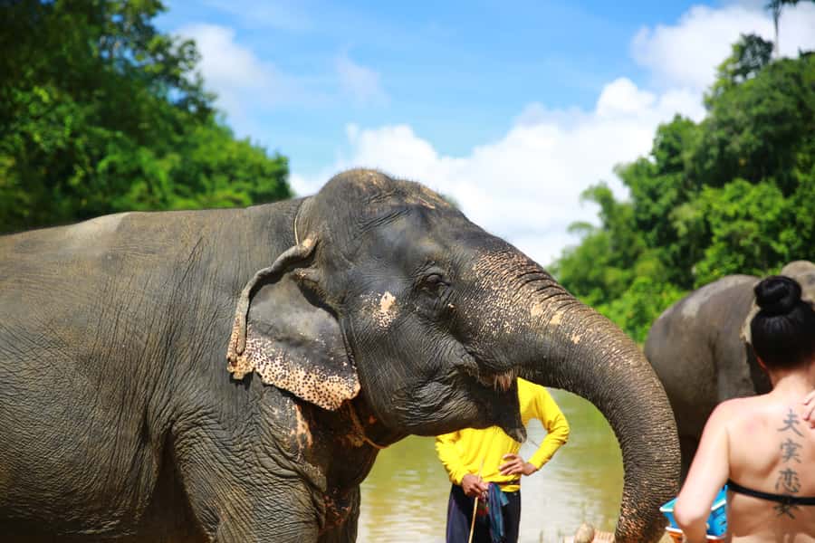 From Khao Lak: Day Trip to Khao Sok with Elephant Camp Visit - Rain or shine: how to think about weather on this trip