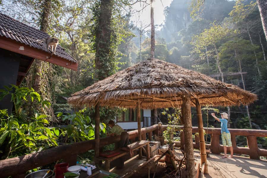 From Khao Lak: Day Trip to Khao Sok with Elephant Camp Visit - Jungle canoeing on Khao Sok waters: calm river time with real wildlife odds