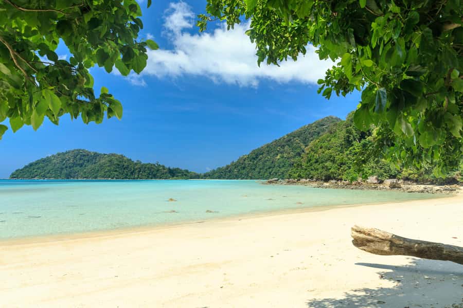 From Khao Lak: Full-Day Snorkeling in the Surin Islands - Three reef snorkeling sessions: coral, fish, and time to breathe