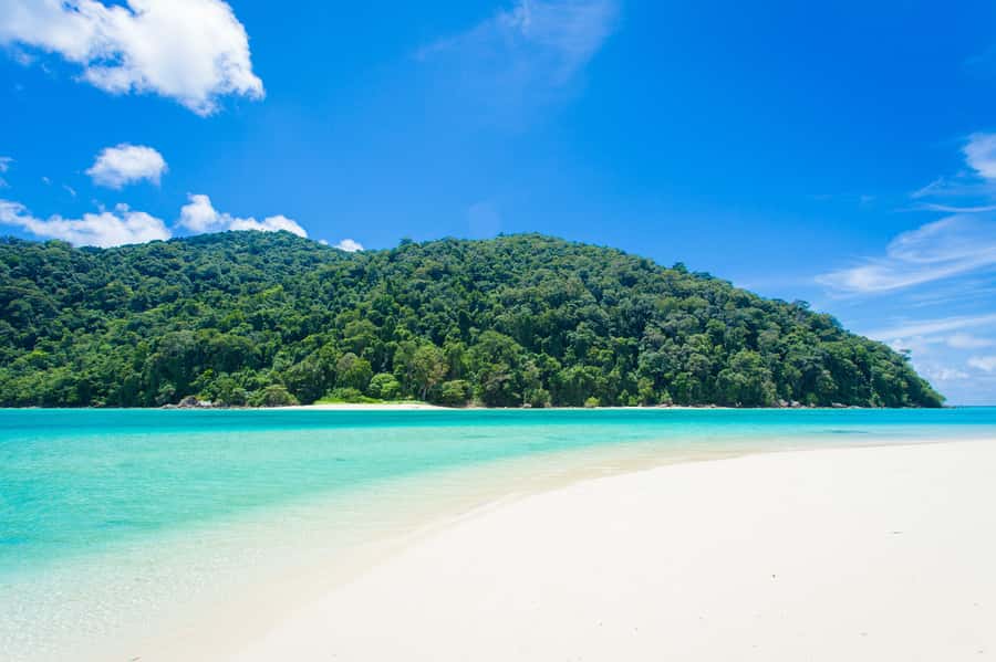 From Khao Lak: Full-Day Snorkeling in the Surin Islands - What’s included (and what costs extra) for $122
