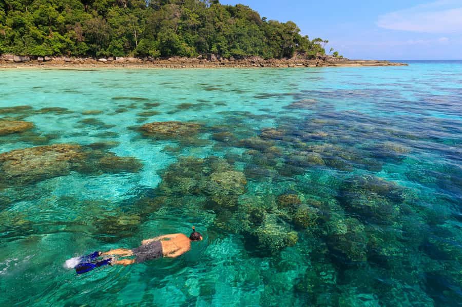 From Khao Lak: Full-Day Snorkeling in the Surin Islands - Who should book this Surin Islands snorkeling day trip