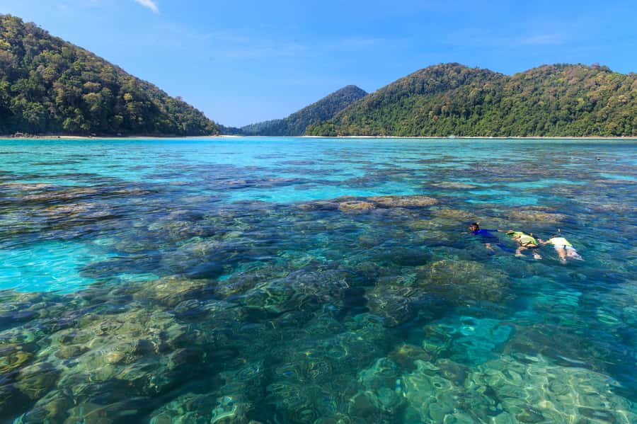 From Khao Lak: Full-Day Snorkeling in the Surin Islands - Should you book this Surin Islands snorkeling day trip?