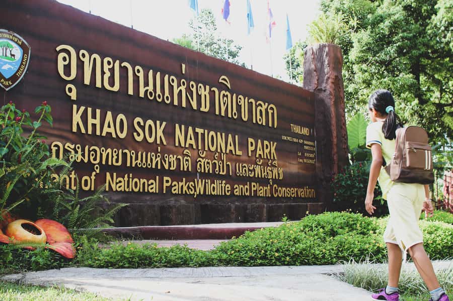 From Khao Lak: Khao Sok Jungle Hike & River Tour - Who this tour suits best (and who should rethink it)