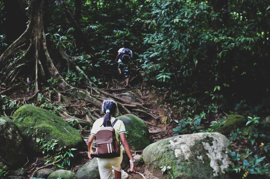 From Khao Lak: Khao Sok Jungle Hike & River Tour - Wildlife spotting that feels like a game, not a lecture