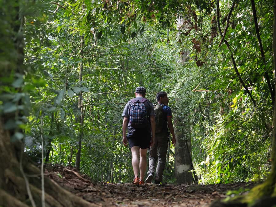 From Khao Lak: Khao Sok Jungle Hike & River Tour - Thai lunch after the hike: filling food, not a snack