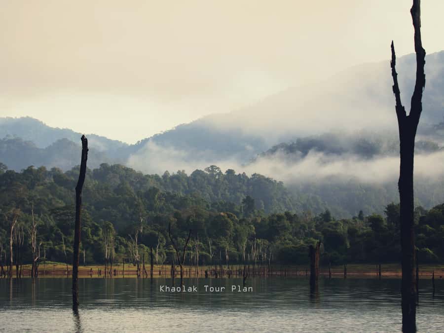 From Khao Lak or Phuket: 2-Day Cheow Lan Lake Tour - Key points to know before you go