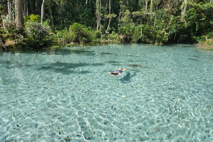 From Khao Lak or Phuket: 2-Day Cheow Lan Lake Tour - Day 2: kayak at sunrise, then cruise + a 2 km jungle walk
