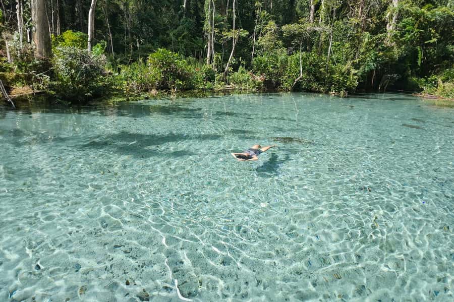 From Khao Lak or Phuket: 2-Day Cheow Lan Lake Tour - Morning pickup from Khao Lak or Phuket to Khao Sok viewpoint