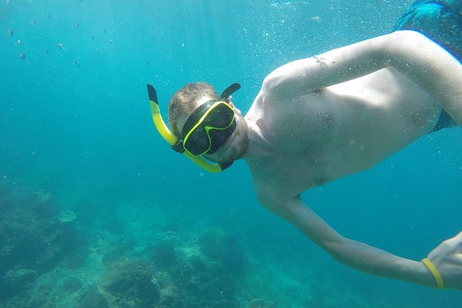 From Khao Lak : Phi Phi Islands Adventure Day Trip with Lunch - Ko Phi Phi Le Snorkeling: Where the Reef Time Gets Real