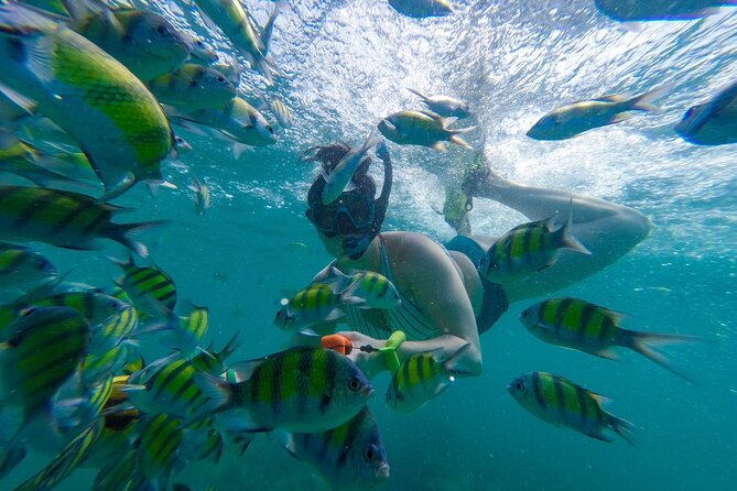 From Khao Lak : Phi Phi Islands Adventure Day Trip with Lunch - Price and Value: What $120.61 Really Buys You
