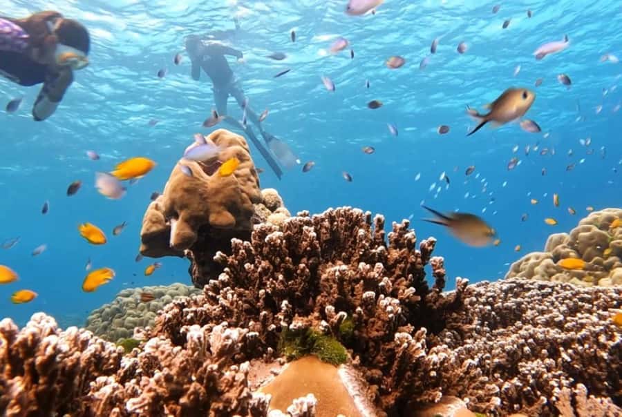 From Khao Lak & Phuket: Similan Islands Snorkeling Day Trip - Tips to pack smart and stay comfortable in saltwater weather