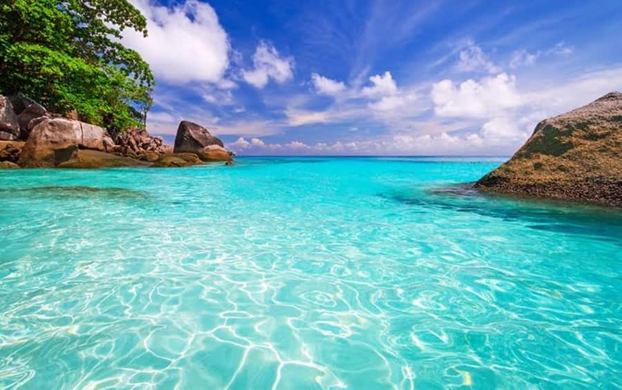 From Khao Lak & Phuket: Similan Islands Snorkeling Day Trip - Island 4 beaches and Thai picnic lunch