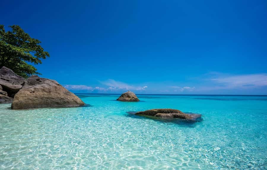 From Khao Lak & Phuket: Similan Islands Snorkeling Day Trip - Returning to port: snacks, drinks, and wrapping up the day