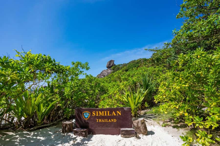 From Khao Lak & Phuket: Similan Islands Snorkeling Day Trip - What the guides add: Monica, Ni, and Nancy’s energy