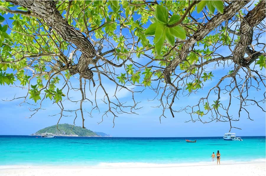 From Khao Lak: Similan Islands Day Trip with Snorkeling - Island 9 snorkeling: coral, sea turtles, and the day’s best chance