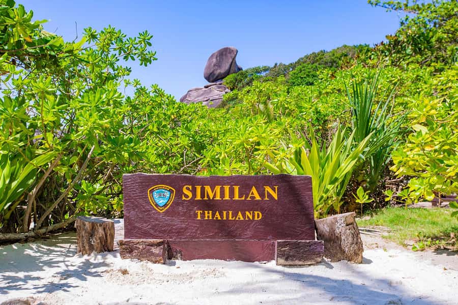 From Khao Lak: Similan Islands Snorkeling Trip with Lunch - Pickup, pier warmth, and the speedboat pace (good to know)