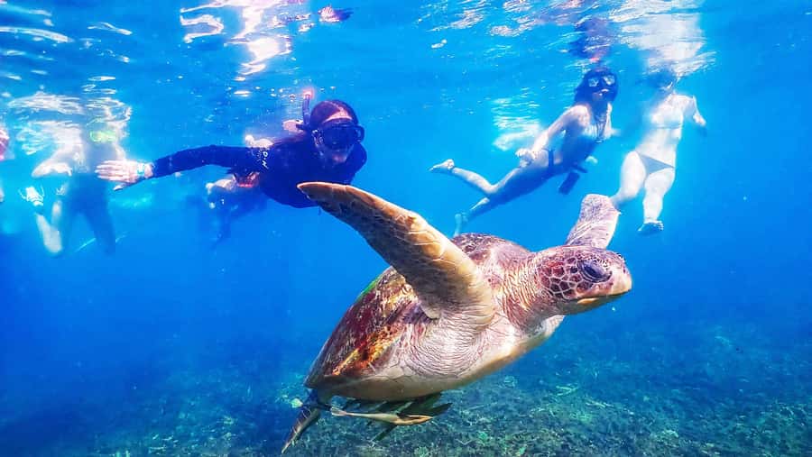 From Krabi: Surin Islands Snorkeling Tour w/ Meals - Surin Islands from Krabi: why this 12-hour plan exists