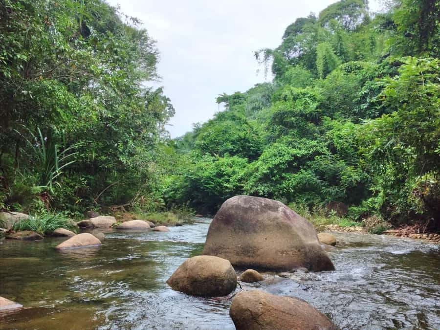 Full-Day ATV Khaolak Adventure with local Support - Authentic Thai lunch: what you’re really paying for