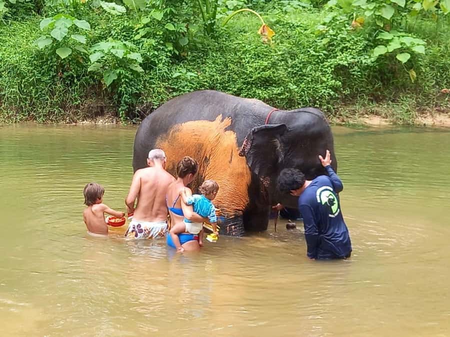 Full-Day Khaolak Highlights & Spa - Price and value check: is $176 per person fair?