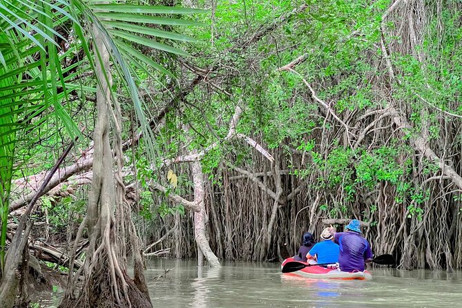 Half Day Canoe Boat Trip At Takuapa Little Amazon - A Half-Day Canoe Through Takua Pa’s Little Amazon