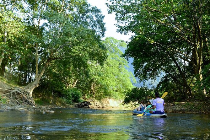 Half Day Khao Sok River Tour By Bamboo Raft From Khao Lak - Rainy season option: Mae Yai Waterfall, if conditions allow