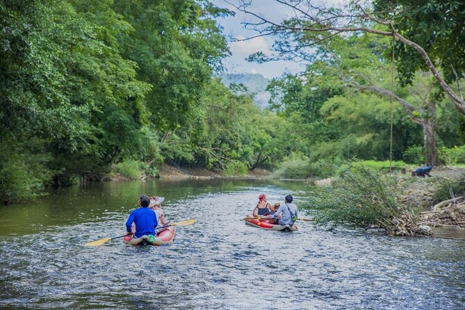 Half Day Khao Sok River Tour By Bamboo Raft From Khao Lak - Price and logistics: getting value for your $65.10