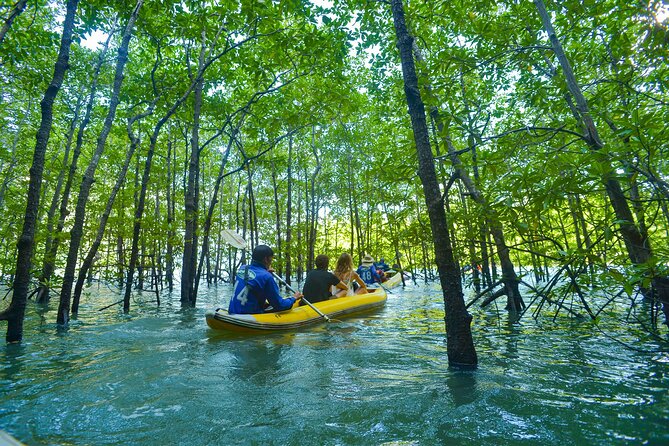 James Bond and Koh Panyee Village Sea Canoeing from Khao Lak - Key highlights you’ll notice fast