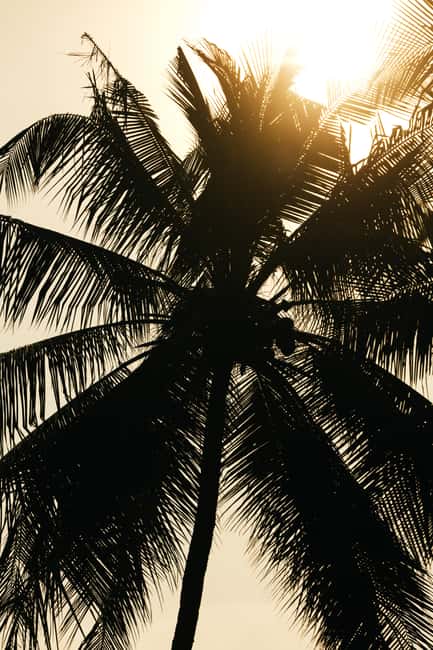 Khao Lak: 1.5-Hour Small Group Surfing Experience - Timing and weather: why your start time might not be fixed