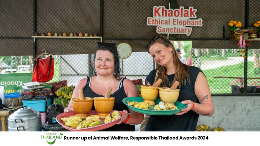 Khao Lak: 2-Hour Elephant Sanctuary Eco-Walk with Guided - Key things to know before you go