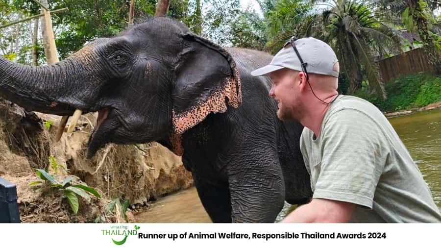 Khao Lak: 2-Hour Elephant Sanctuary Eco-Walk with Guided - Pickup, drive, and meeting your English guide before the first banana