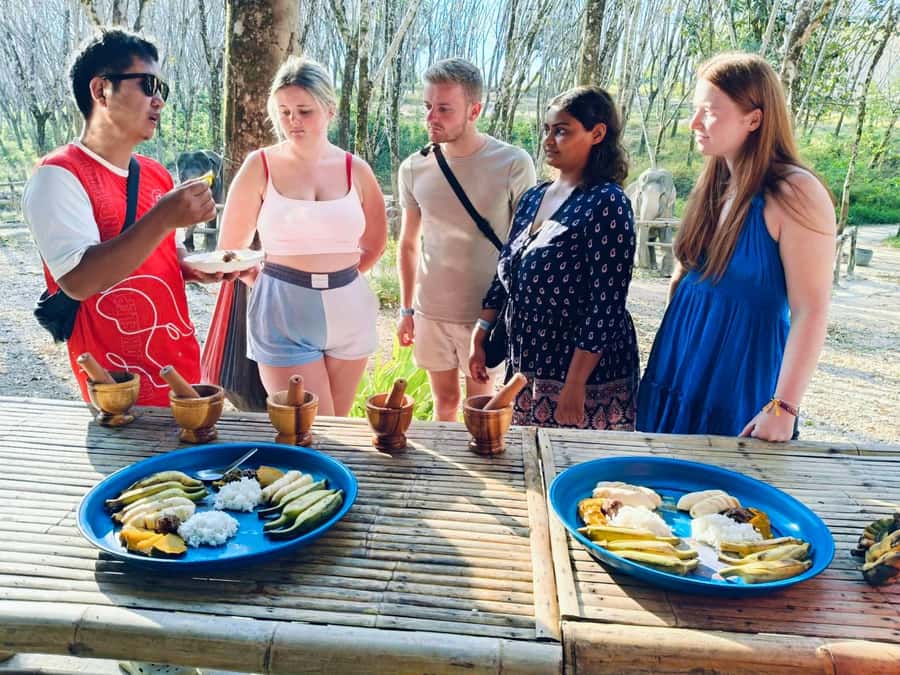 Khao Lak: 2-Hour Elephant Sanctuary Eco-Walk with Guided - Price and value: why $73 can feel fair for an ethical visit