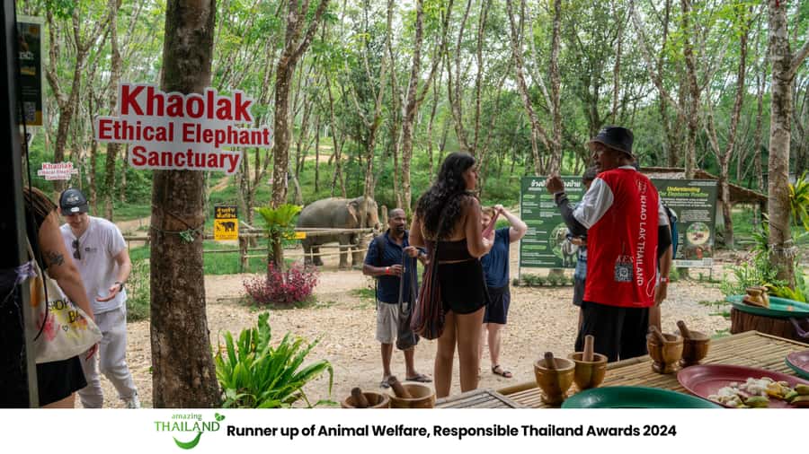 Khao Lak: 2-Hour Elephant Sanctuary Eco-Walk with Guided - Rescue stories and the sanctuary’s ethical rules in plain language