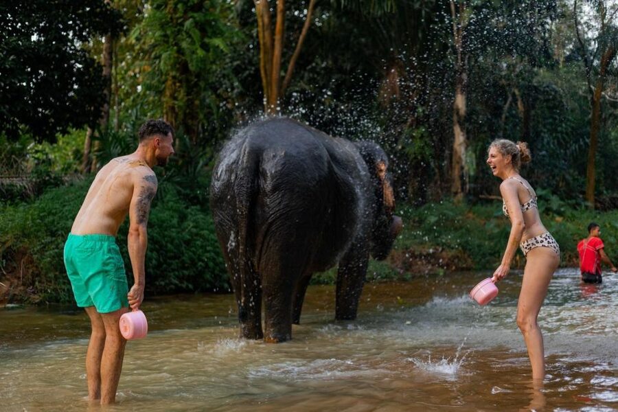 Khao Lak: All-Day Elephant Sanctuary Experience Small Groups - Entering The Sanctuary Routine: Morning Pickup and Jungle Timing